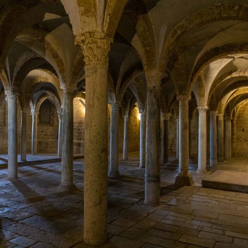 Tuscania 20 febbraio 2020 40 LD
