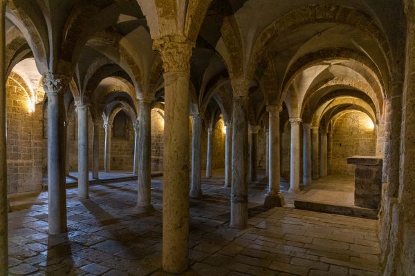 Tuscania 20 febbraio 2020 40 LD