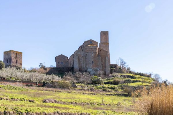 Tuscania 20 febbraio 2020 76 LD